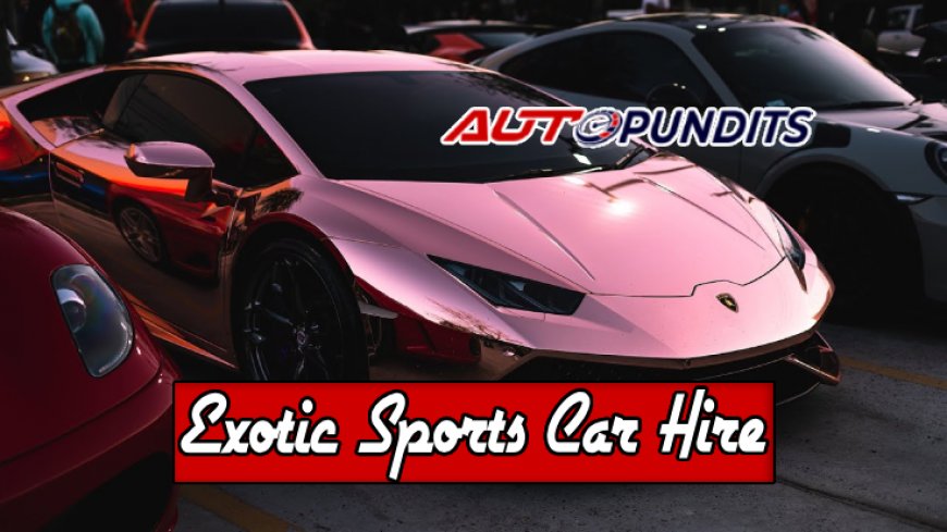 Exotic Sports Car Hire Options